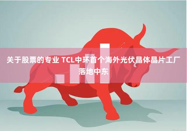 关于股票的专业 TCL中环首个海外光伏晶体晶片工厂落地中东