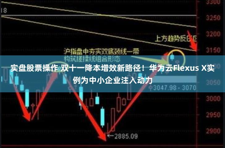 实盘股票操作 双十一降本增效新路径！华为云Flexus X实例为中小企业注入动力