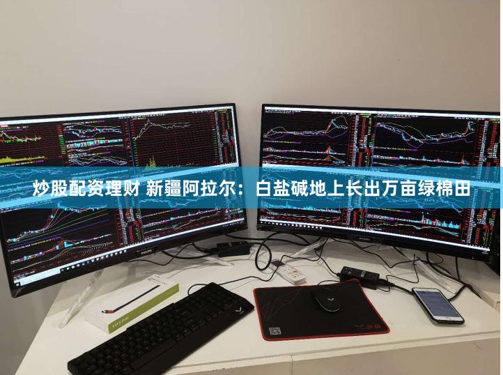 炒股配资理财 新疆阿拉尔：白盐碱地上长出万亩绿棉田