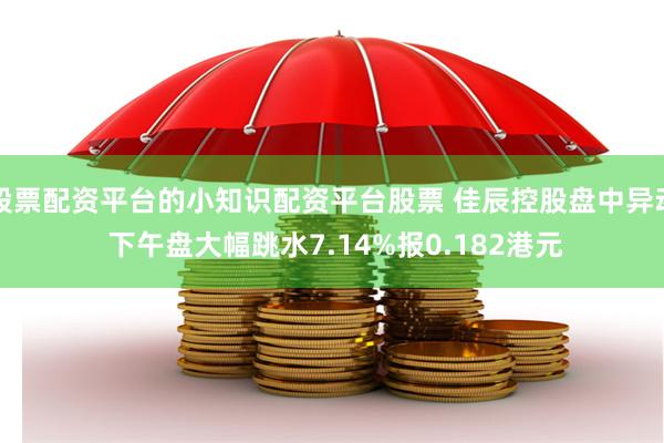 股票配资平台的小知识配资平台股票 佳辰控股盘中异动 下午盘大幅跳水7.14%报0.182港元