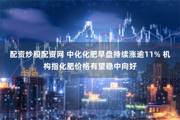 配资炒股配资网 中化化肥早盘持续涨逾11% 机构指化肥价格有望稳中向好