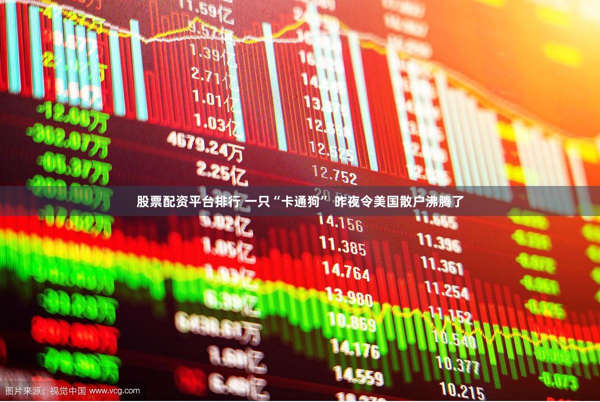 股票配资平台排行 一只“卡通狗” 昨夜令美国散户沸腾了