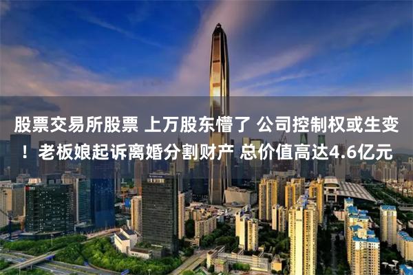 股票交易所股票 上万股东懵了 公司控制权或生变！老板娘起诉离婚分割财产 总价值高达4.6亿元