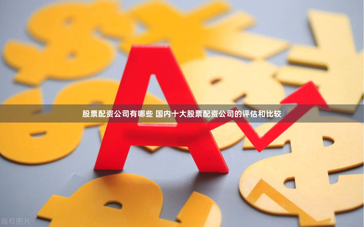 股票配资公司有哪些 国内十大股票配资公司的评估和比较