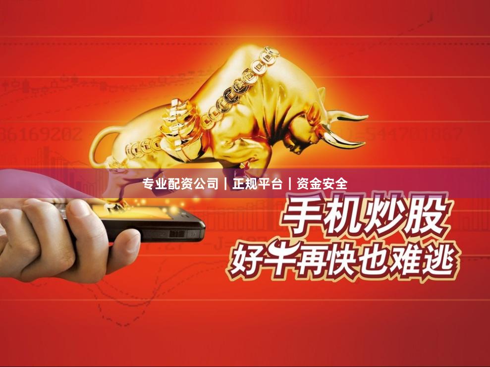 专业配资公司｜正规平台｜资金安全