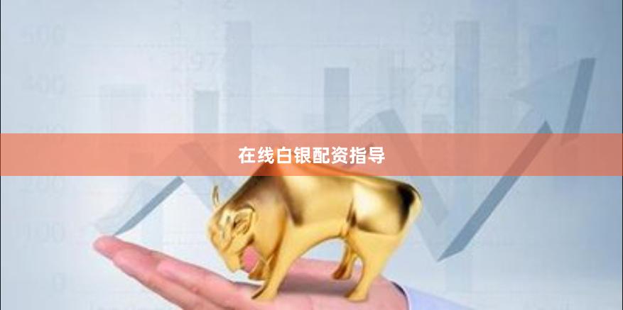 在线白银配资指导