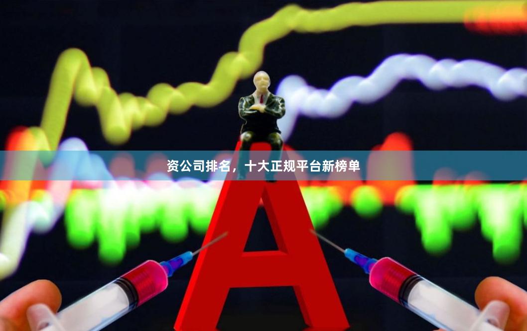 资公司排名，十大正规平台新榜单